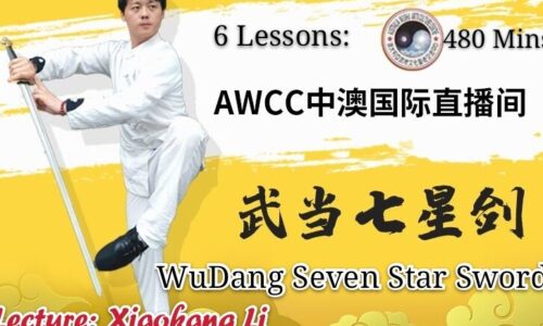 WuDang Seven Star Sword <br> 6 lessons 480 minutes<br>Elite class