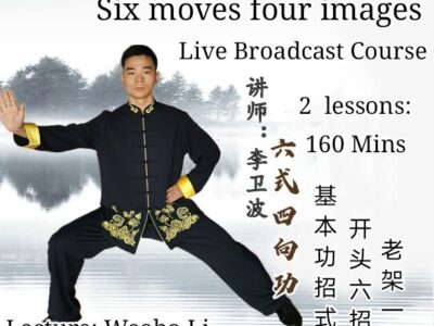 Six moves and four images <br>2 lessons-160 mins<br>Beginner course