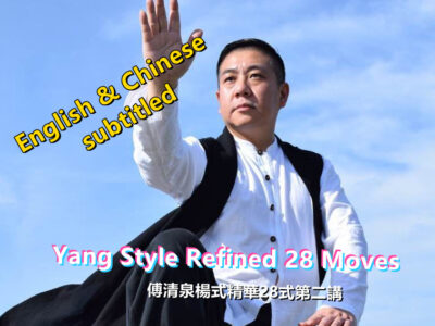 Fu QingQuan<br>Yang Style Taijiquan Refined 28 Styles:<br>Lan bird tail ~ Zuo Chuan in detail