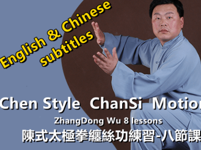 Zhang DongWu<BR> Chen Style TaiChi Coiled motion<br>8 lessons