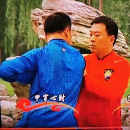 Zhang Dongwu Chen’s  Style Tai Chi Old Frame First Routine（Chinese and English subtitles）