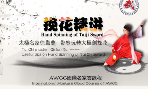 Xu QinLan Hand Spinnng of Tai Chi Sword