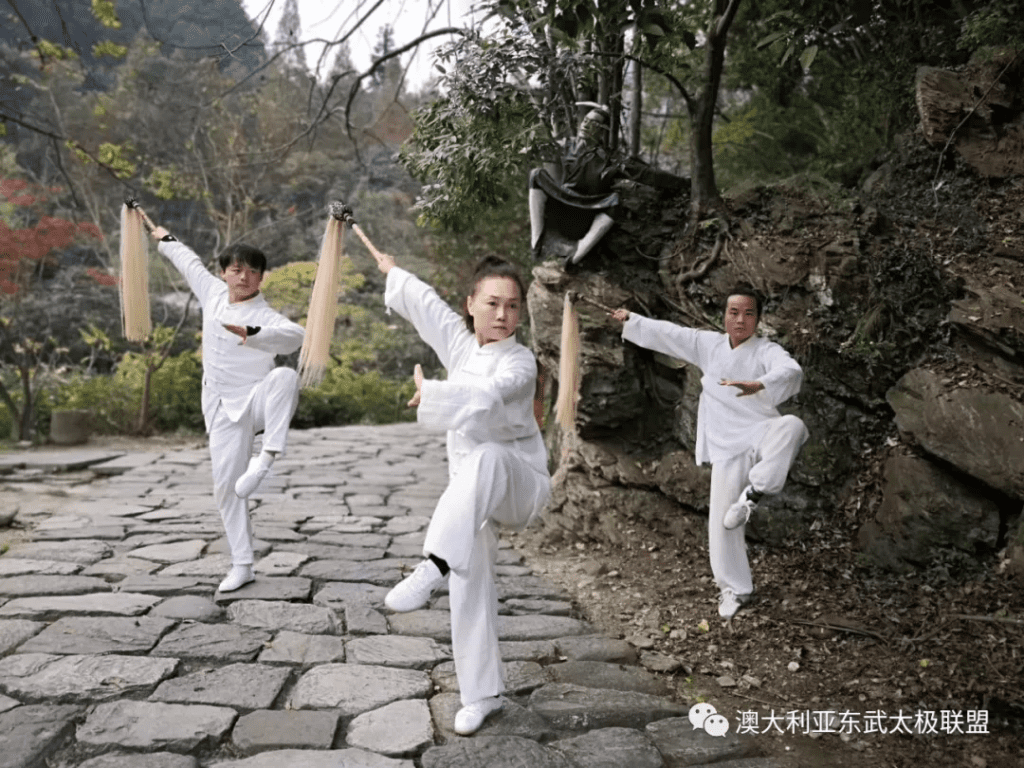 Wudang Taiyi kung fu