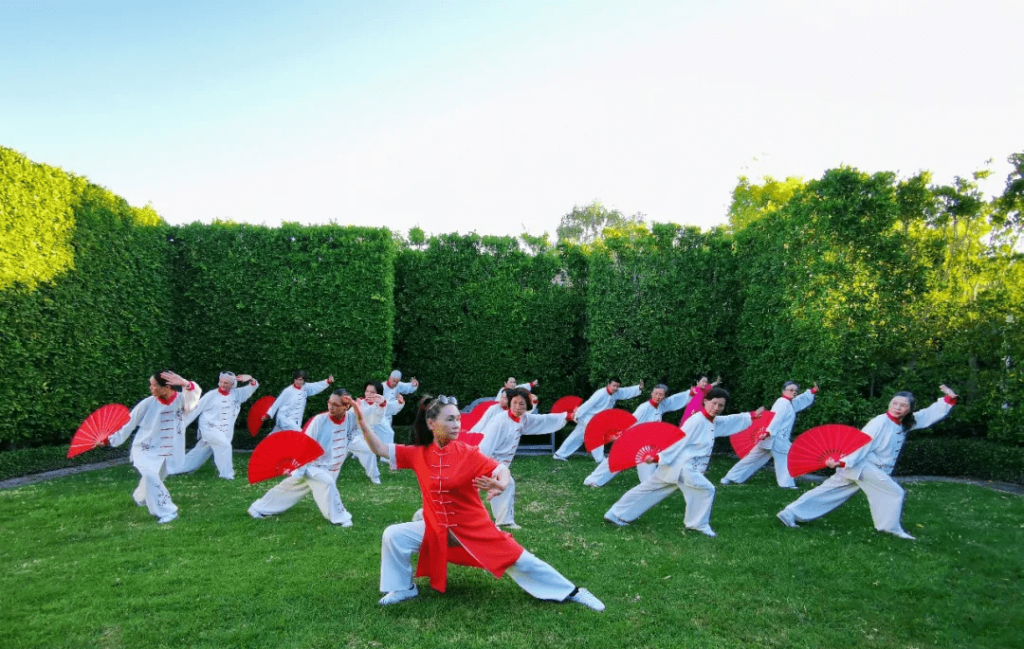 tai chi cloud water fan