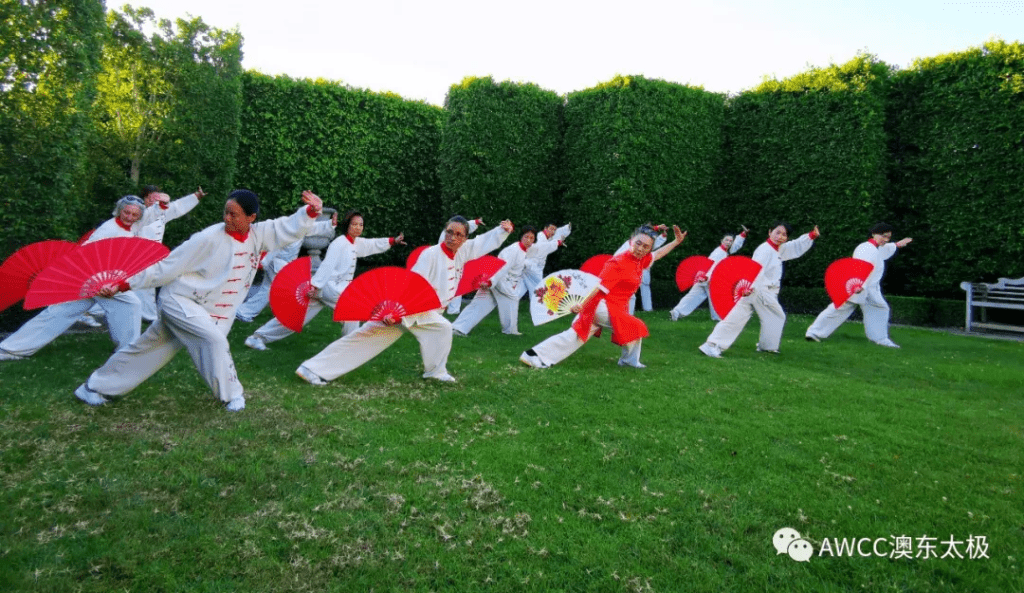 tai chi cloud water fan