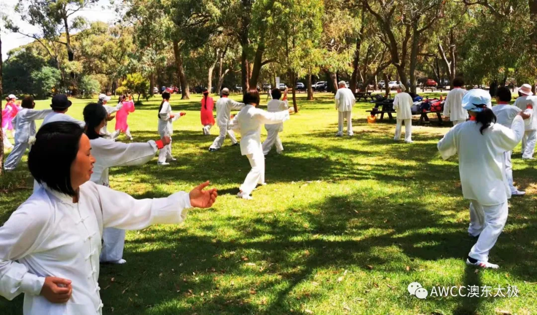 tai chi lawn class