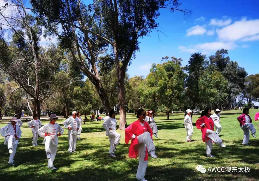 tai chi lawn class