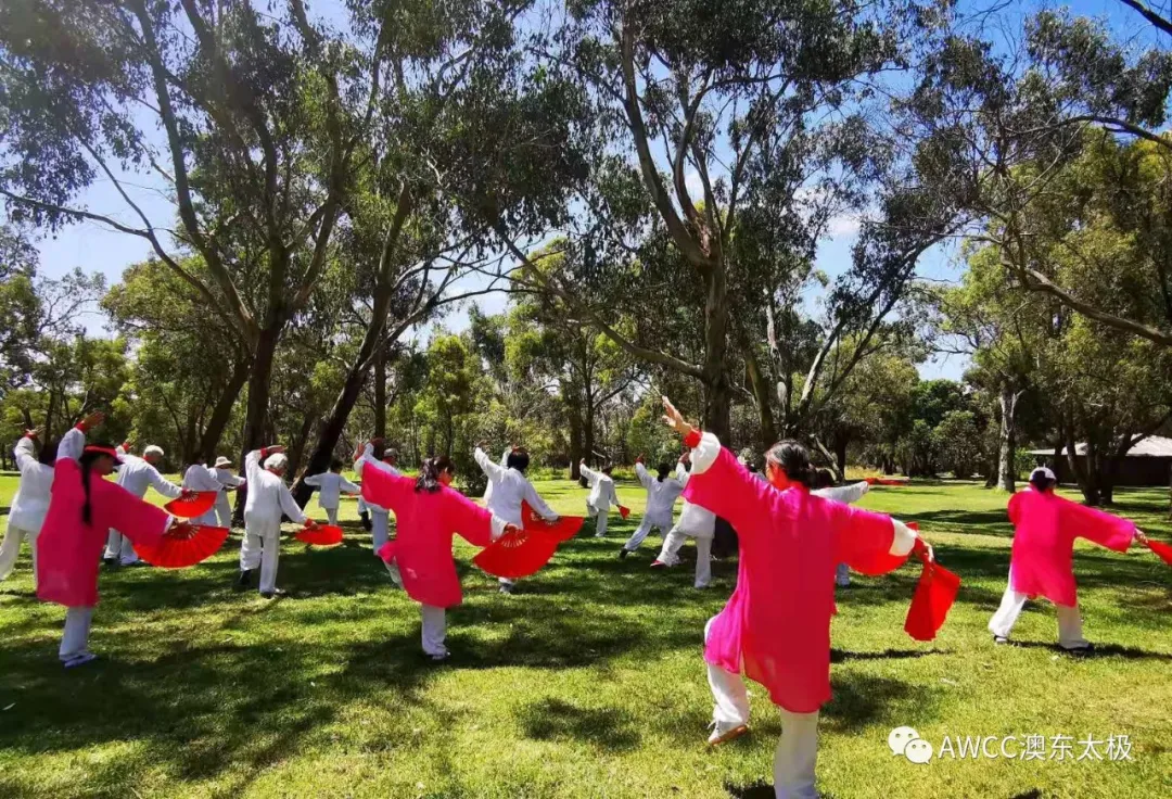 Australia Melbourne tai chi lawn class