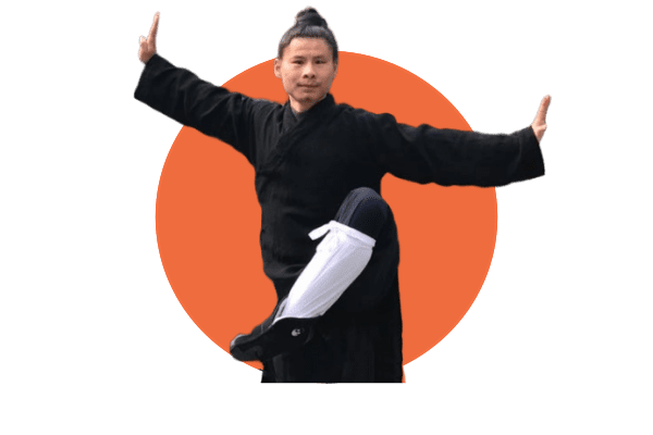 wudang taiyi teacher