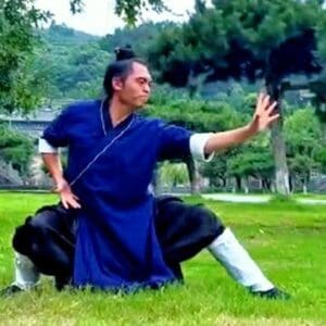 awcc wu-dang taichi gongfu