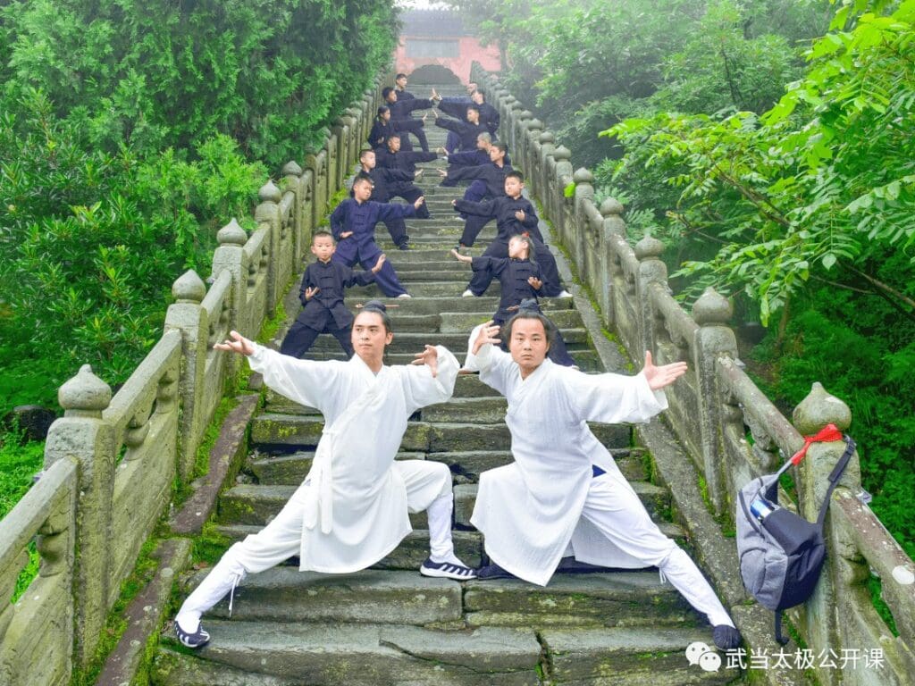 wudang taichi