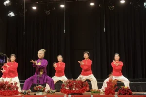 Senior Tai Chi practitioners in red and purple uniforms performing Chen-style Tai Chi on stage at Hawthorn Arts Centre, Melbourne